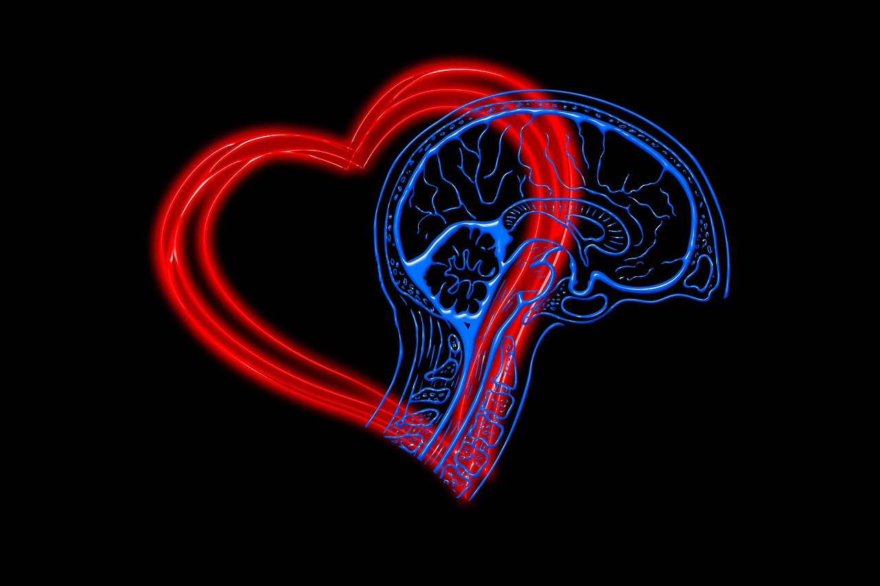 Ontwikkel je emotionele intelligentie - Basis